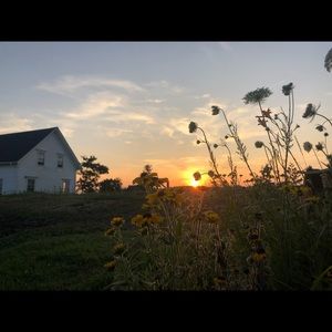 Meet your Posher, Willa